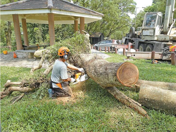 政府撥700萬助農戶復業 山竹一周年 重建未了期