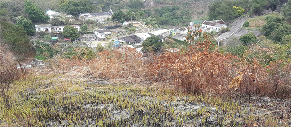 珍惜郊野公園 郊遊勿留火種 毀林易致山泥傾瀉 動物失棲息地