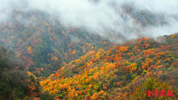 图集｜四川光霧山：紅葉飄飛 層林盡染