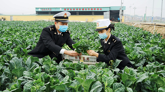 廣州海關助力粵港澳大灣區「菜籃子」建設