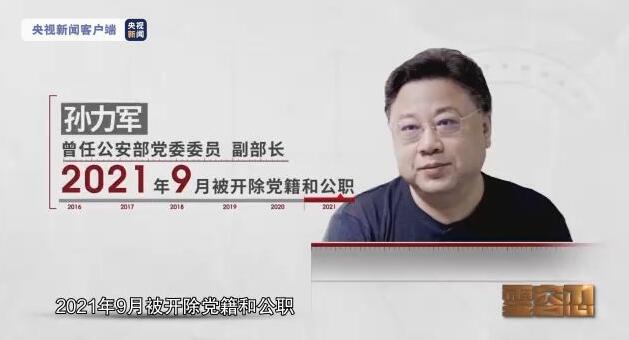 專題片披露孫力軍政治團夥案詳情：為實現個人政治目的拉帮結派搞團團夥夥