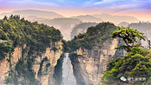 華春瑩向海外推介張家界風景