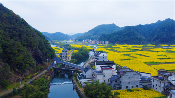 皖歙縣：森村花田春意濃