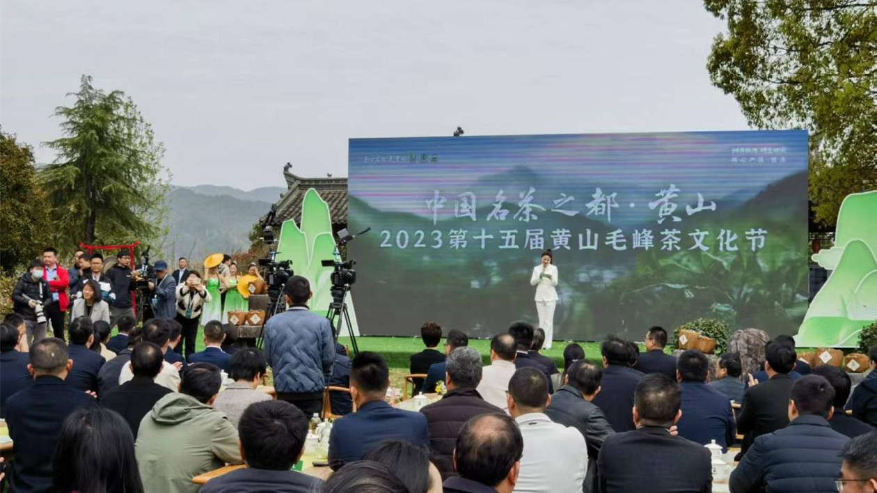 黃山毛峰原產地  皖徽州區多措護航春茶產銷