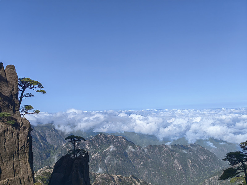 安徽黃山風景區：峽谷百花節啟浪漫之旅