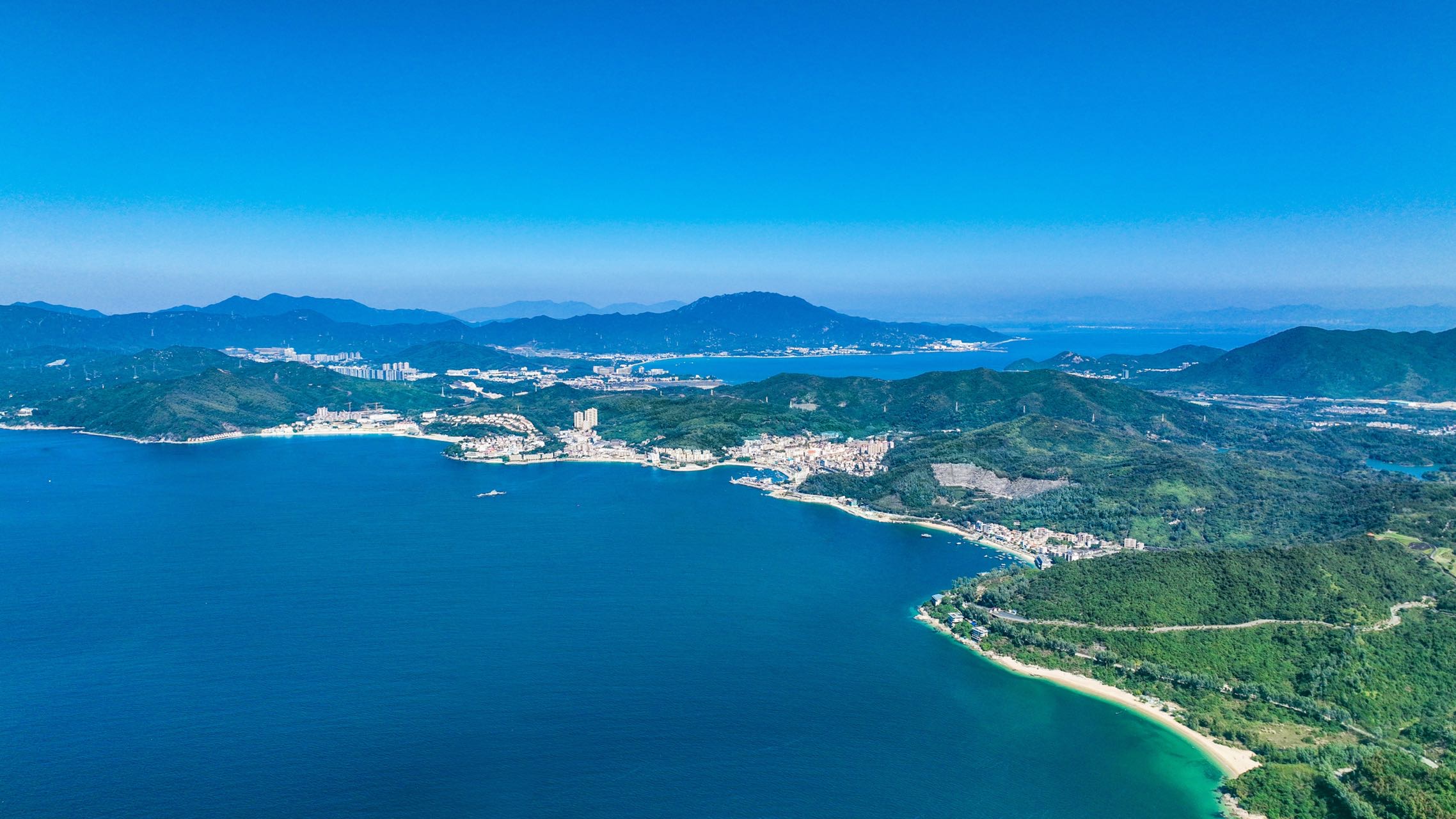 調查顯示 深圳大鵬半島蘊藏着諸多神奇物種