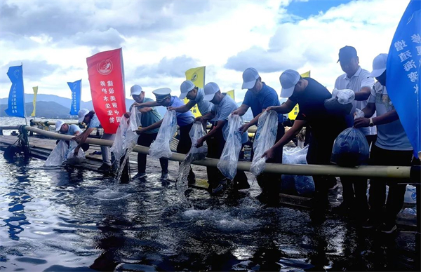 近600萬尾魚蝦苗放流 增殖深圳漁業資源