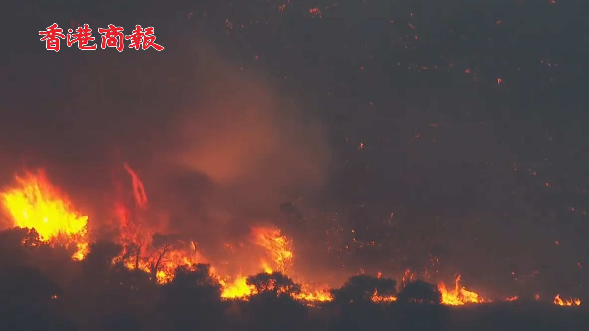 有片丨熱浪中的歐洲 希臘多地發生山林火災