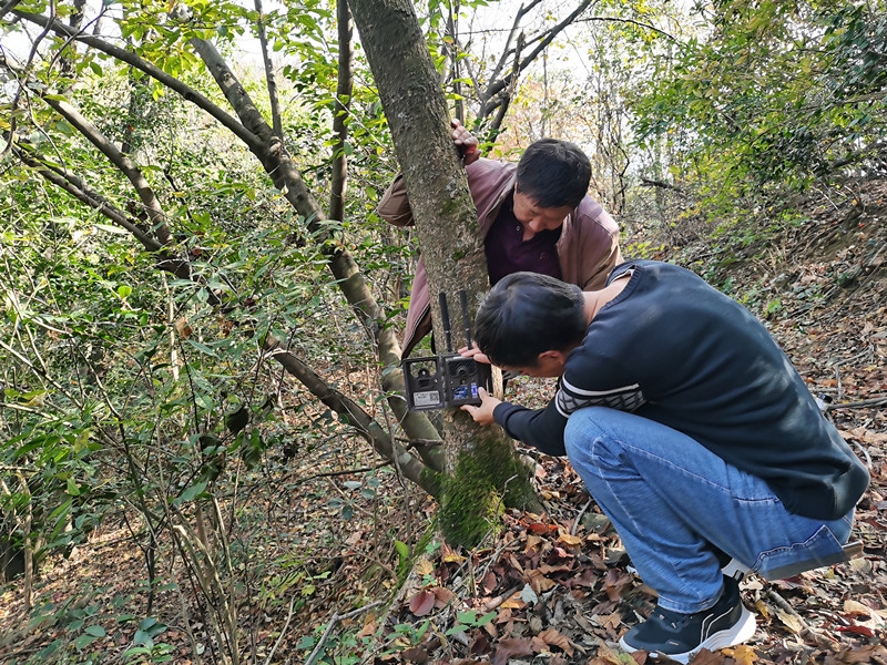 皖黟縣：關愛野生動植物 共建生態美家園