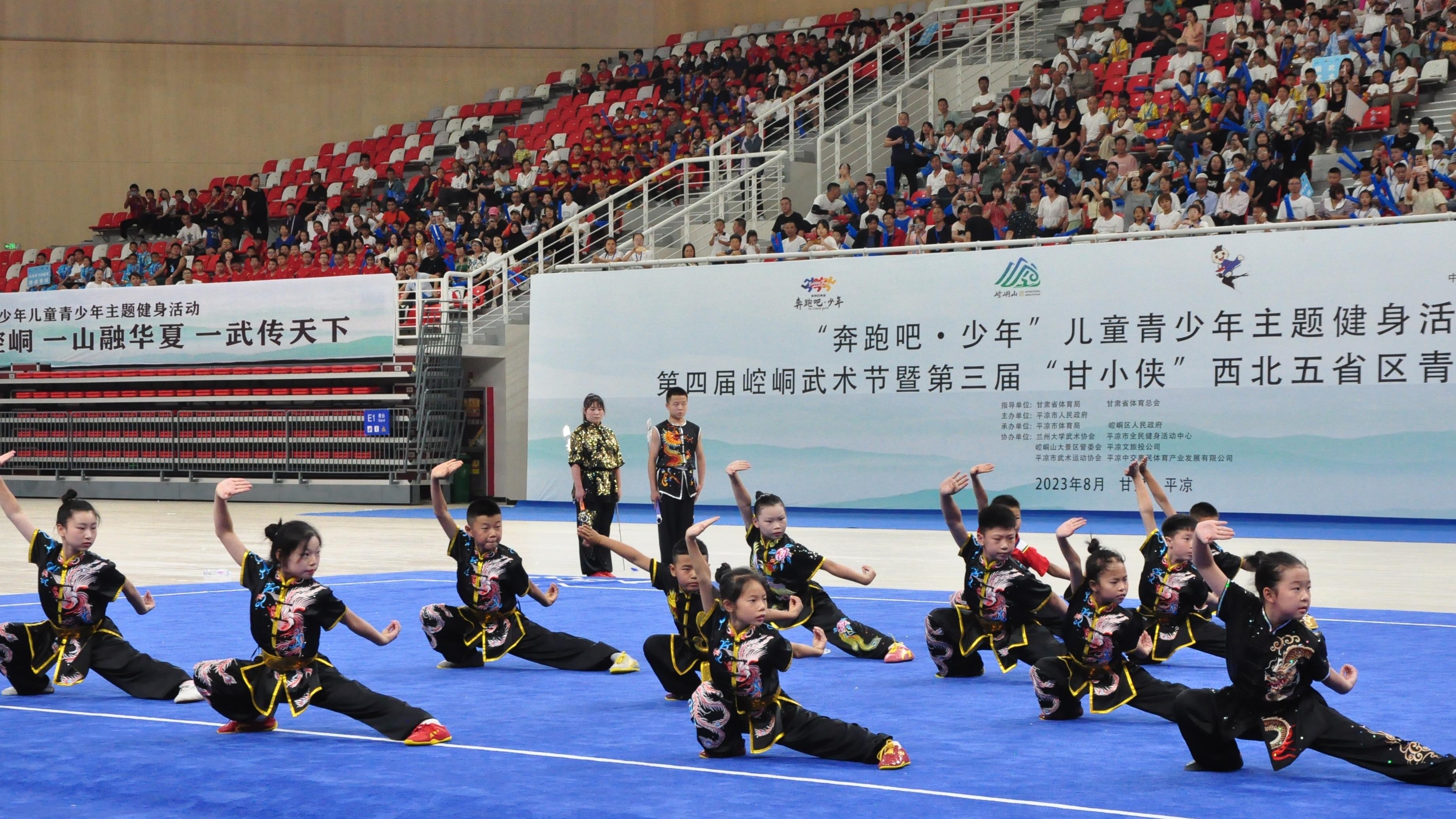 「甘小俠」西北五省區青少年演武大會平涼論劍