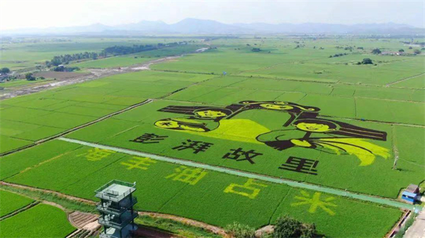 汕尾唯一！海豐縣可塘鎮入選首批國家農業產業強鎮名單