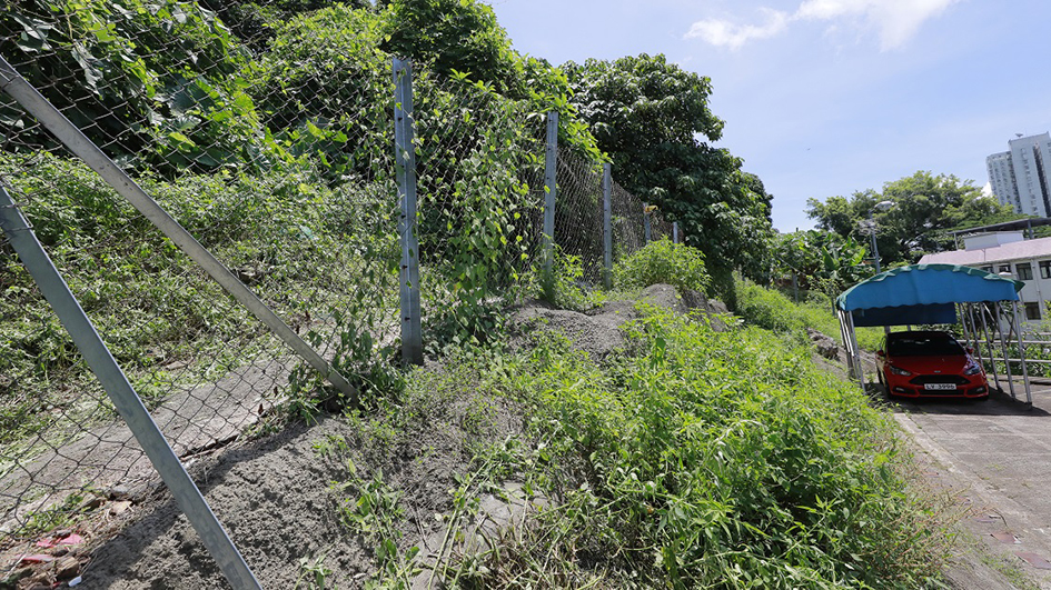 荃灣油柑頭首置地流標 交房協建首置項目