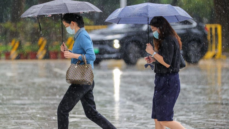 受「海葵」殘餘環流與西南季風影響 深圳降雨將持續至10日