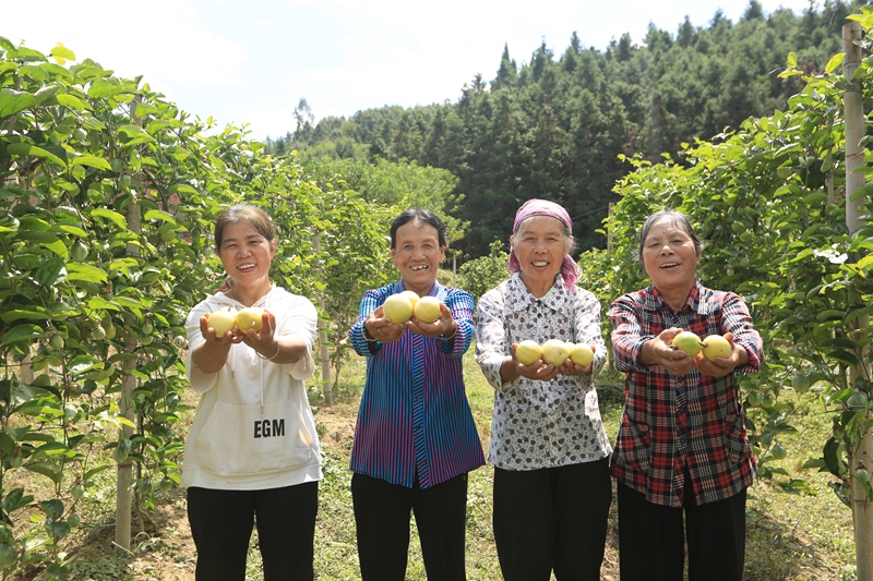 湖南桂陽縣：荒山結出「致富果」