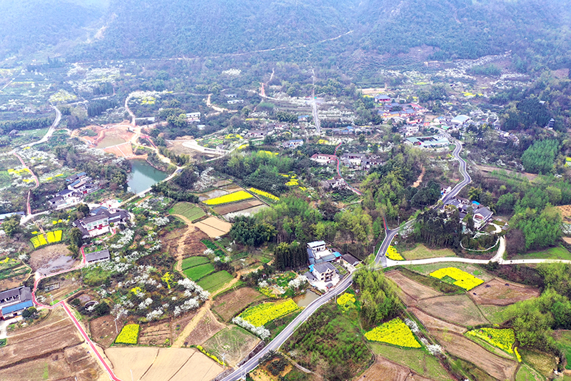 四川綿竹：小流域治理「繪」出鄉村振興嶄新畫卷