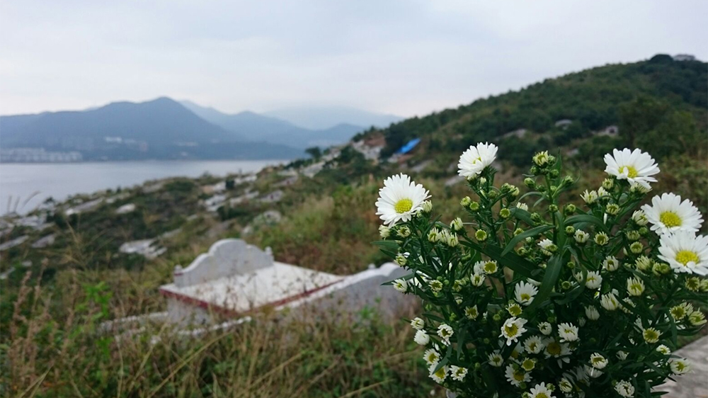 政府移除大頭洲7個非法墳墓 遺骸遷葬至沙嶺墳場