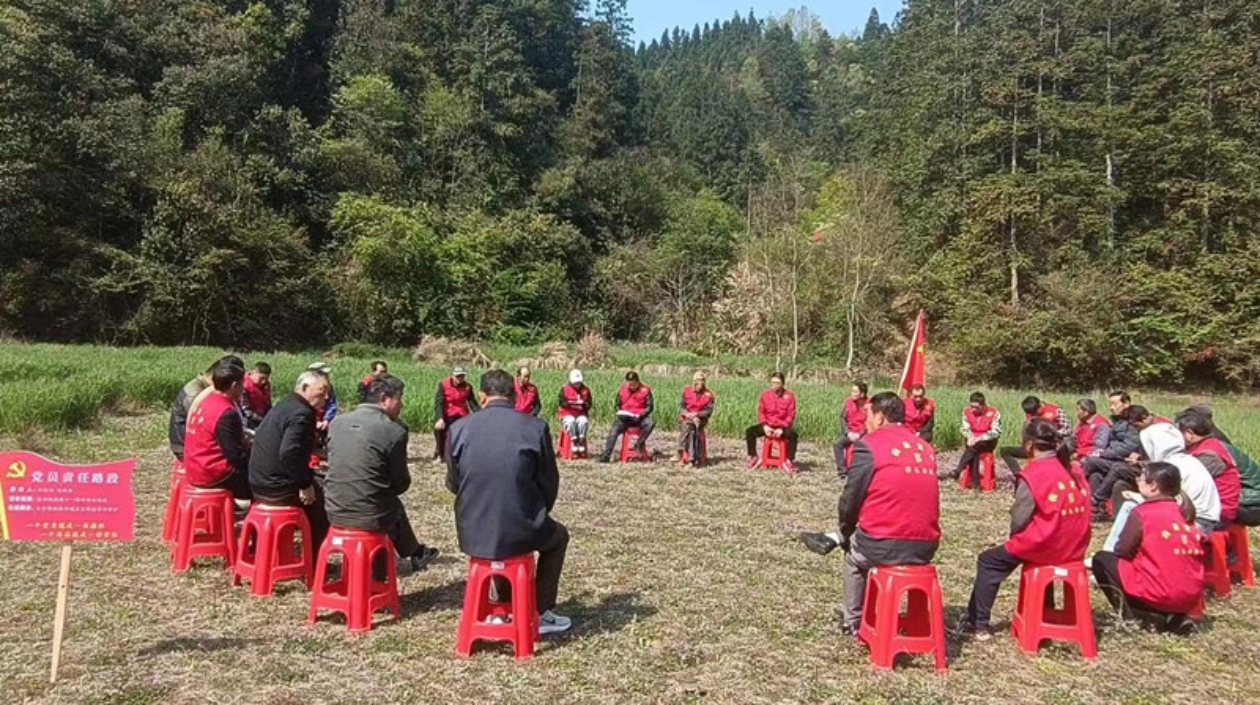 皖黟縣漁亭鎮：「五微」行動促蝶變 和美鄉村入畫來