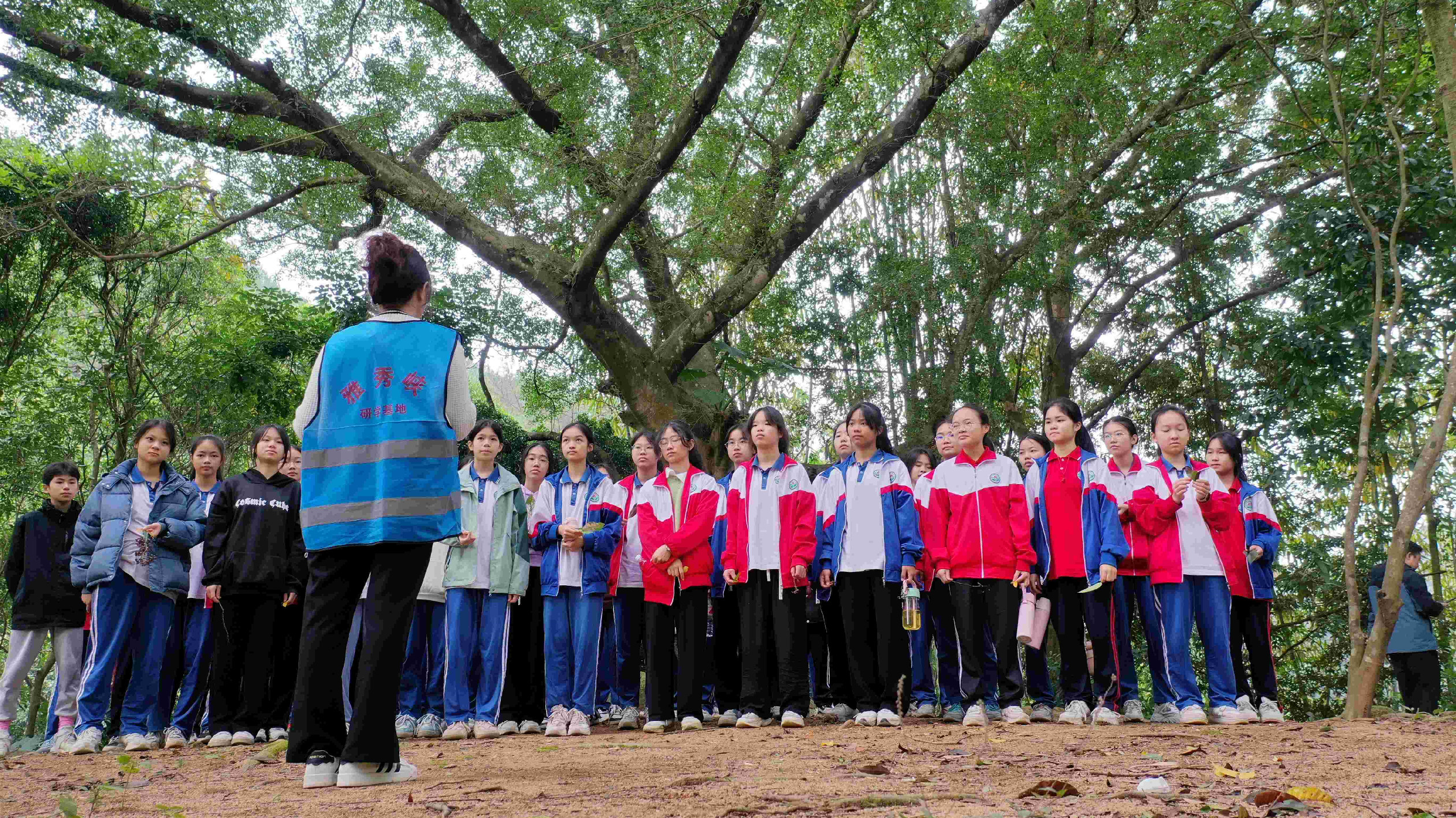 桂容縣松山鎮以研學游賦能鄉村振興