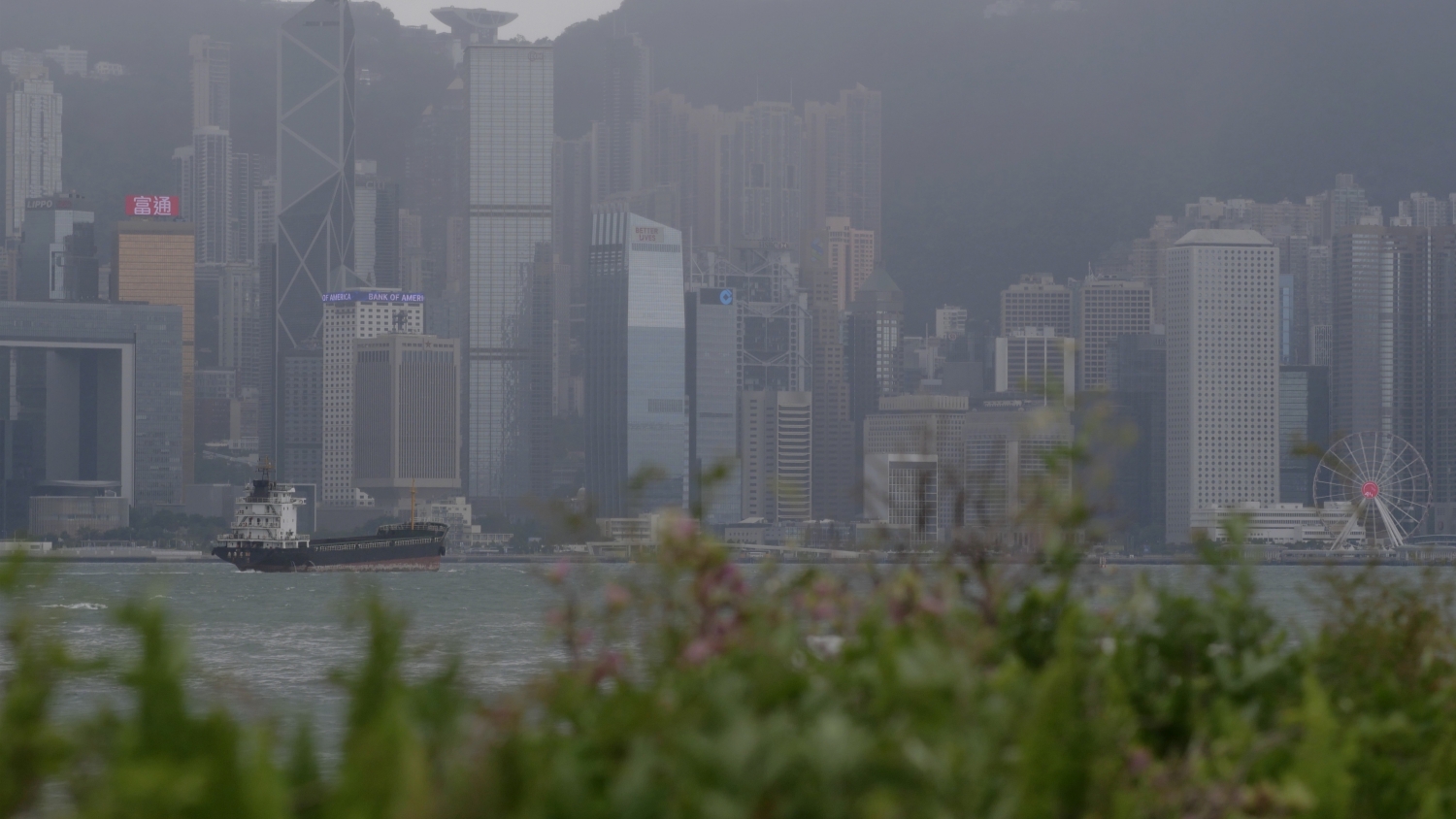 健康空氣行動：空氣污染水平在通關復常下反彈回升