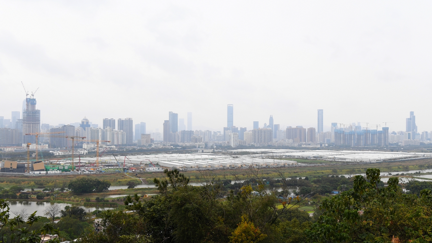 深港兩地全國政協委員發聲 更快建設河套深港科技創新合作區