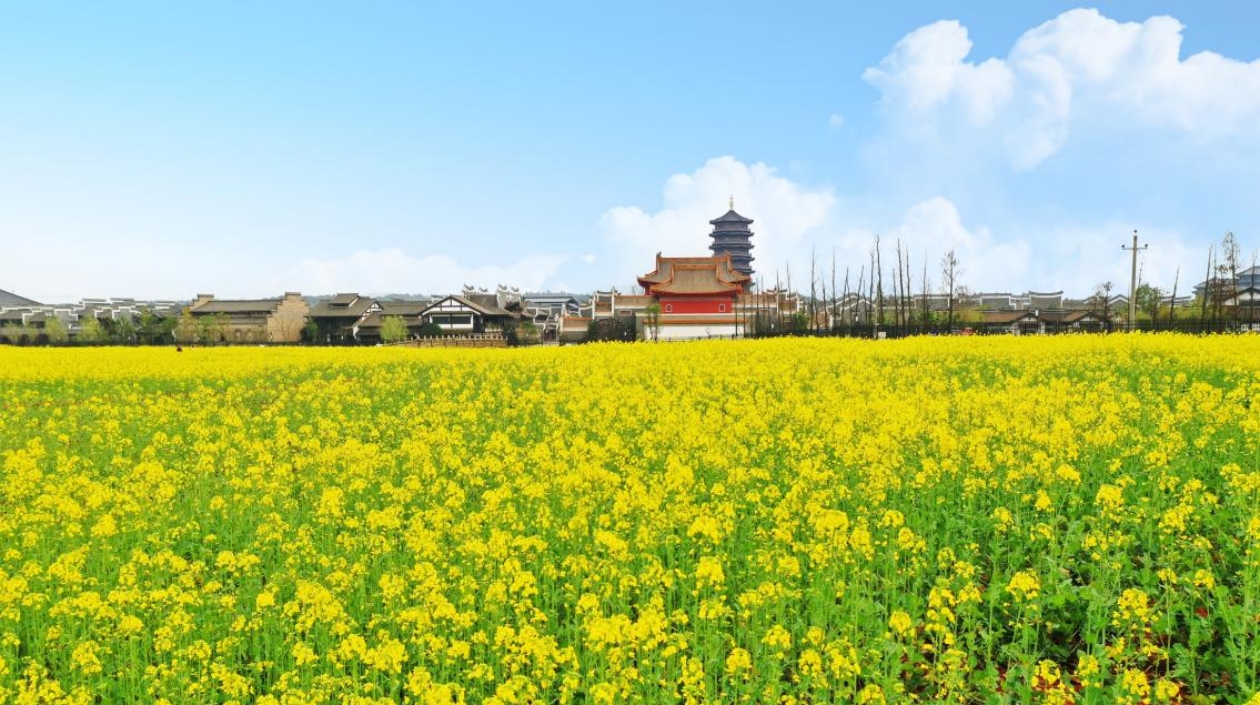 一秒到盛唐 長沙銅官窯古鎮「花朝遊園節」解鎖春日國潮玩法