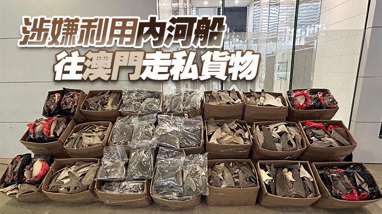 海關檢獲約一公噸懷疑受管制乾魚翅 市值約500萬元