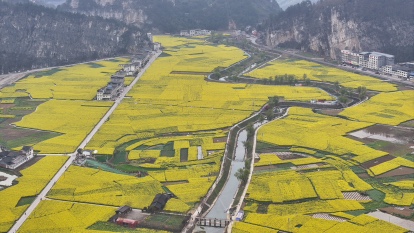 四川古藺：立足三色資源 全域旅遊發展格局逐步成形