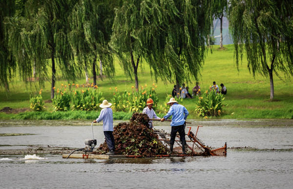 合肥高新區：藍天碧水綠滿城 移步換景皆成畫