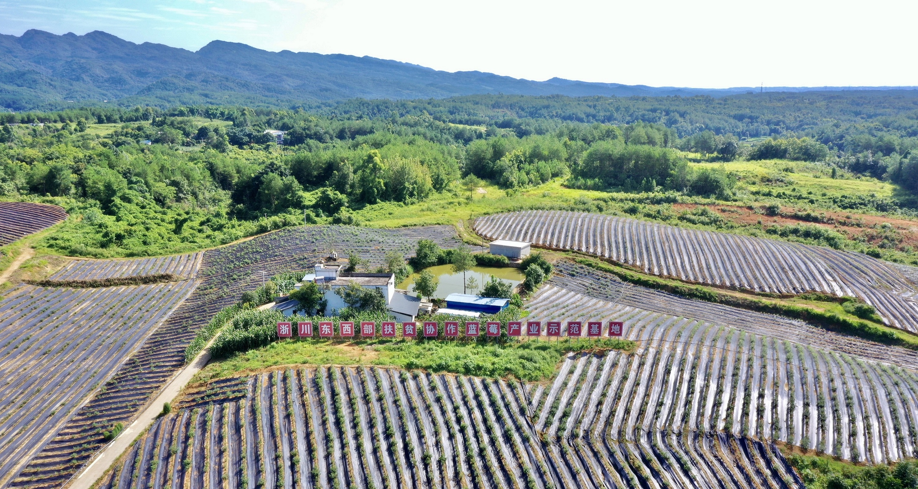 四川北川：以現代農業園區建設助推鄉村振興高質量發展