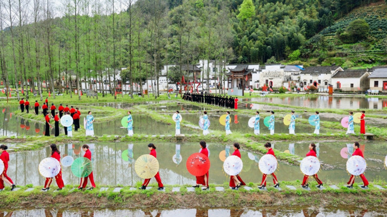 【康養中國】柯村花海羨四方  皖黟縣打響「黟見傾心·康養勝地」品牌