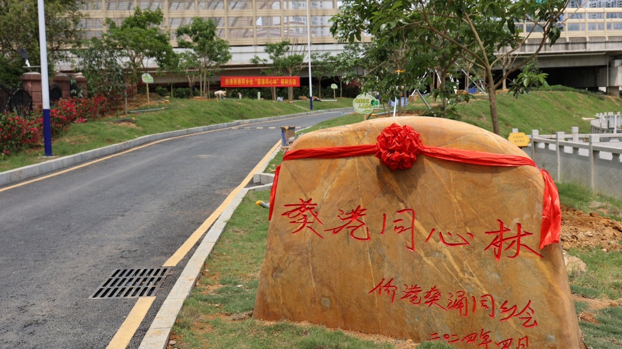 深圳葵涌開展「葵港同心林」植樹活動