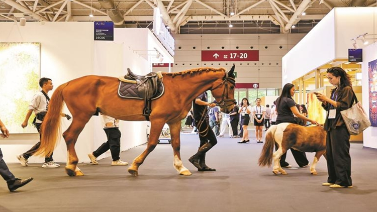 ​深灣馬術莊園「搬」到展會現場 兩匹馬兒首秀「圈粉」無數