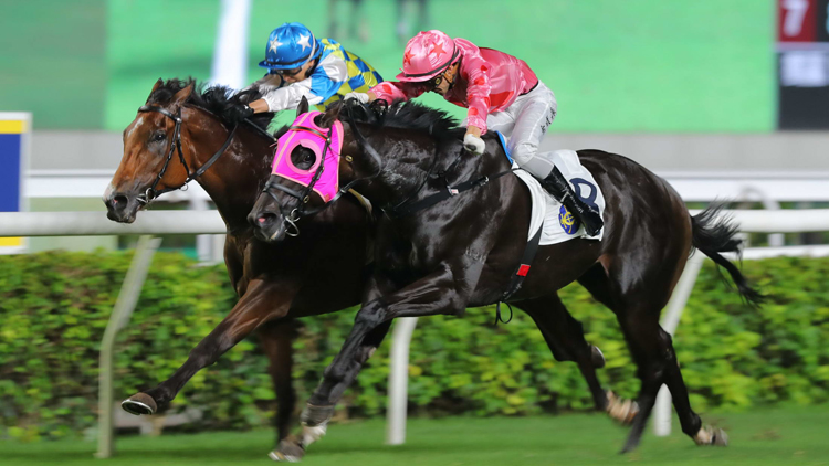 有片 | 錶之銀河險勝獅子山錦標 嘉應高昇捧走沙田銀瓶