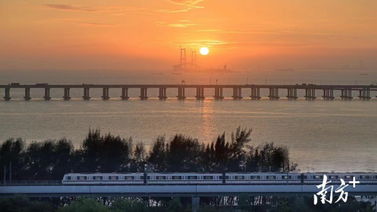 【大灣•大橋•大城】大橋經濟時代，何處將成灣區最強動力源？