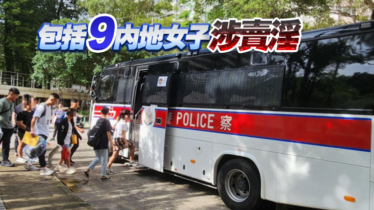 新界南反黑工行動 拘捕31人