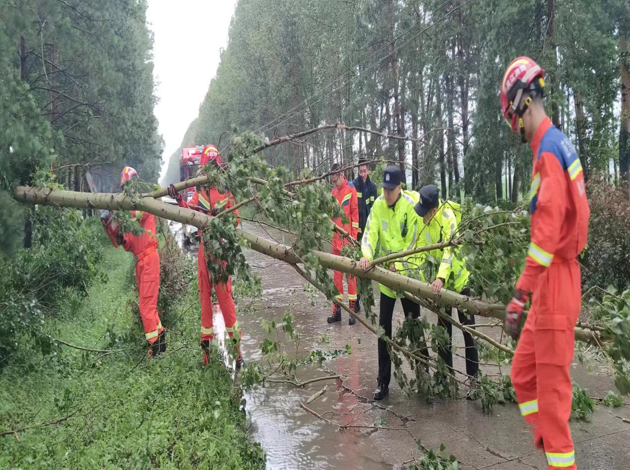 頂風冒雨除隱患 冰城民警及時清障保暢通