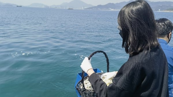 深圳舉行第50次海葬活動  1425具骨灰撒海