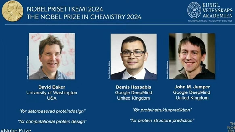 研究蛋白質設計及結構預測 英美3名科學家獲諾貝爾化學獎