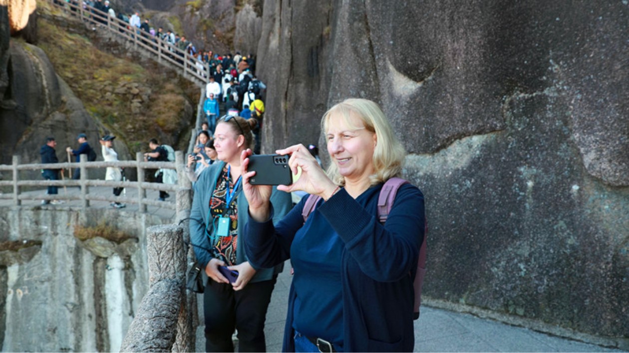 奇松迎遠客  歐洲買家團走進黃山風景區