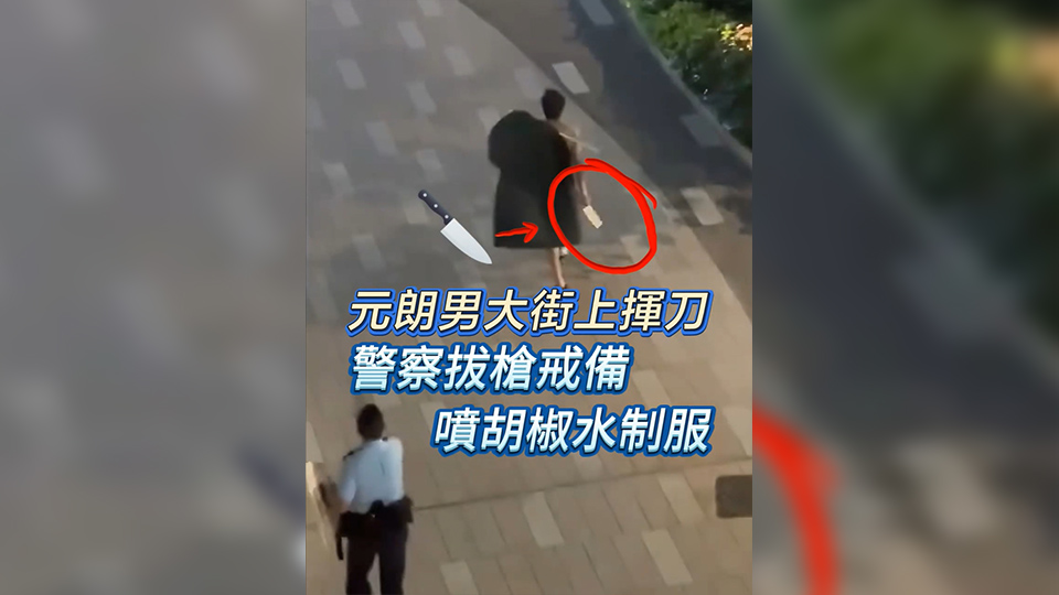 有片丨元朗男大街上揮刀 警察拔槍戒備 噴胡椒水制服