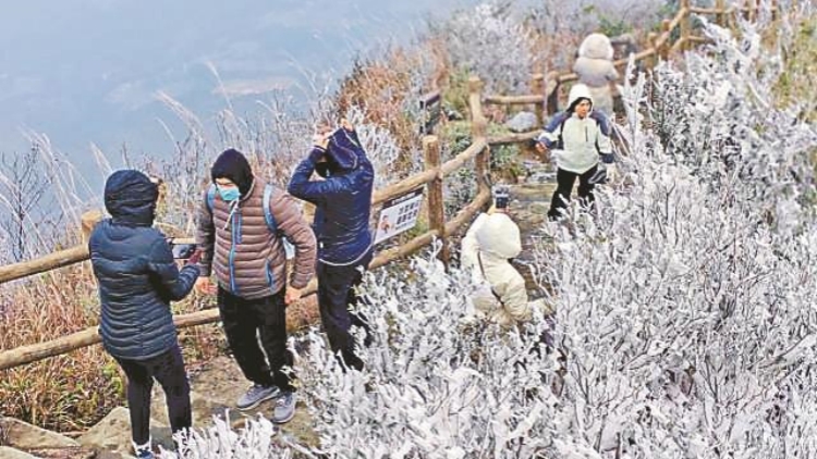 廣東最低氣溫跌破0℃ 粵北山區現冰掛霧凇