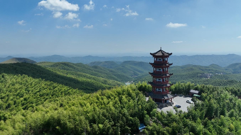 開放湖南 縣域風采| 耒陽：「竹產業＋文旅」走出特色發展路