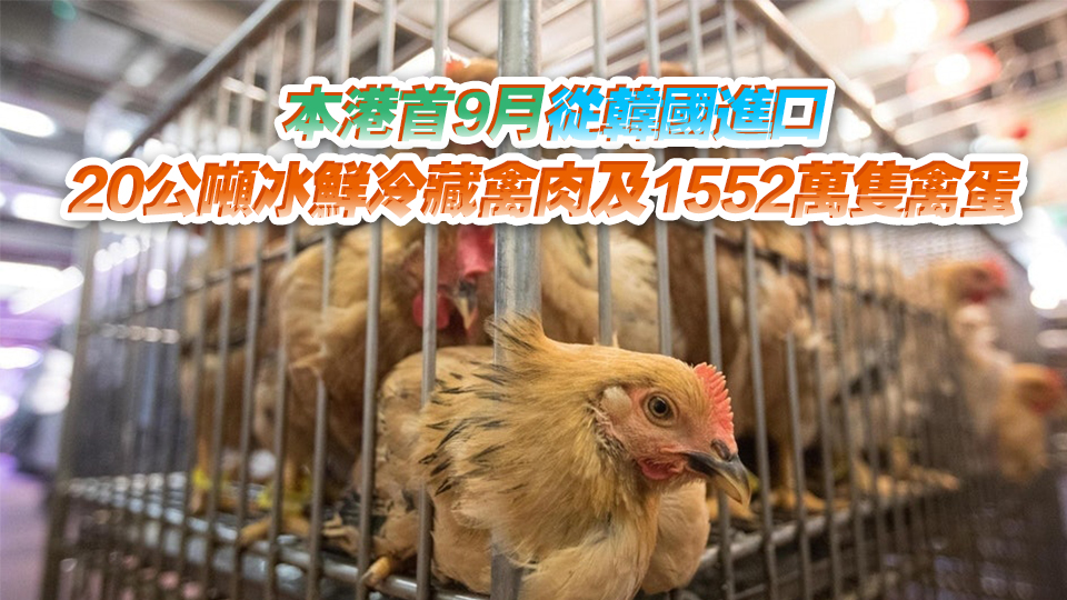 韓國多地爆發H5N1禽流感 本港暫停進口相關地區禽肉及禽類產品